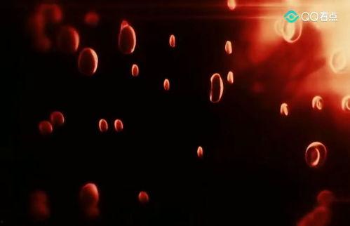 美国最新爆料病毒爆发,真相与阴谋交织”